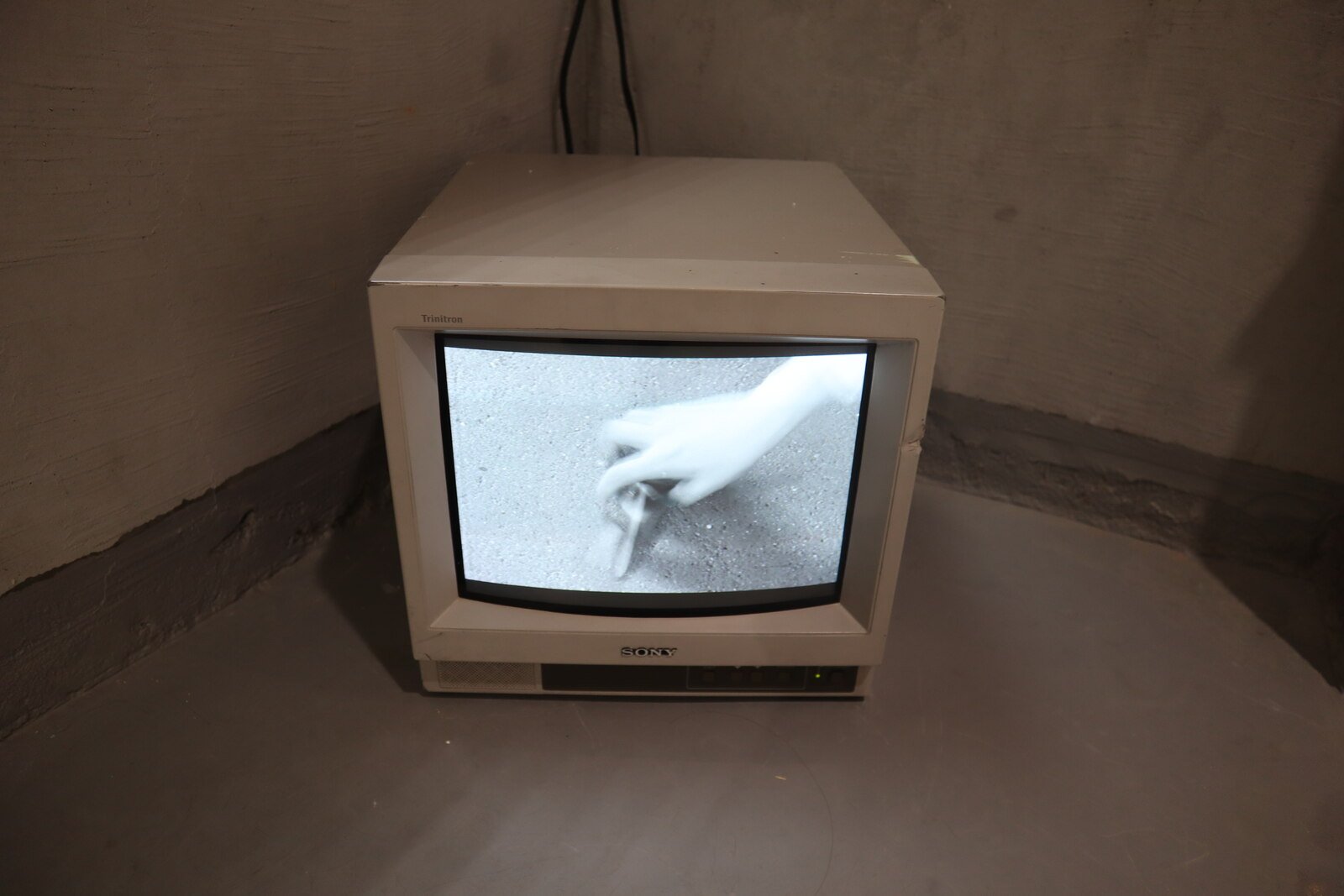 brain committee — Exhibition