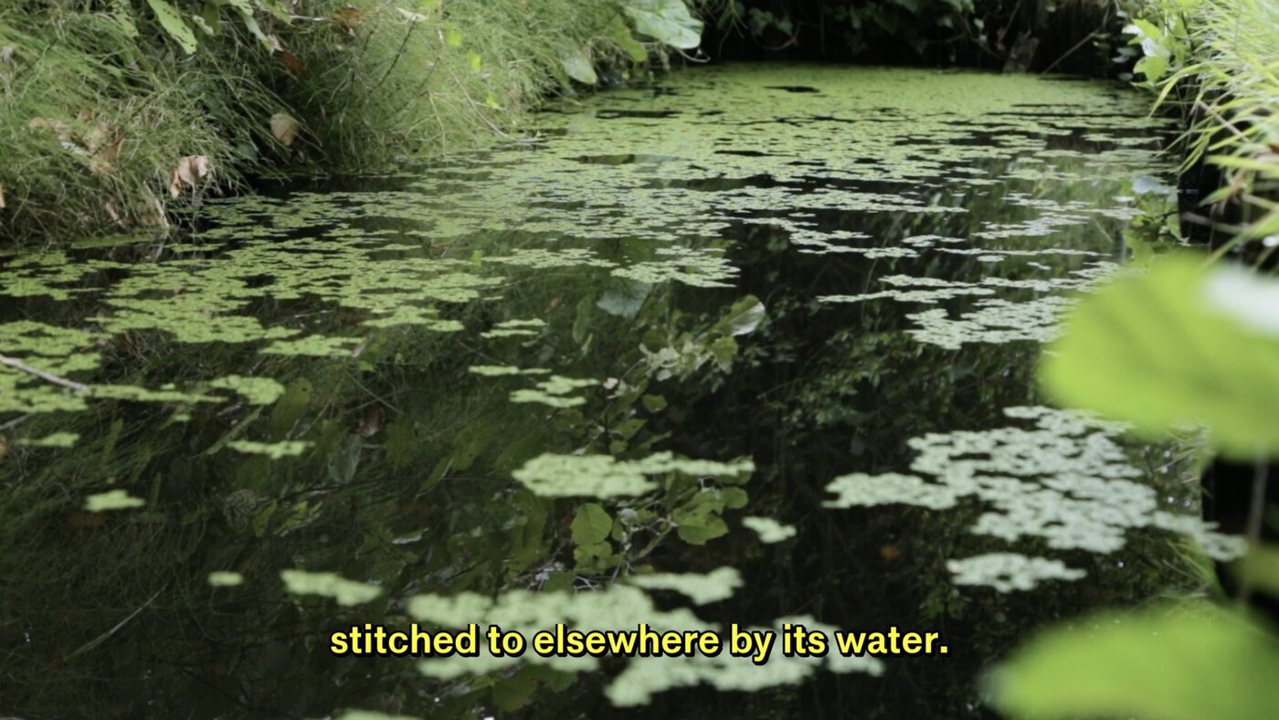 time, in a volkstuin — An Invented Ground — Yu Yin's section
